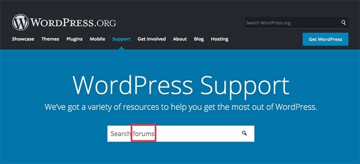 wordpress support