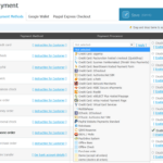 Ecwid payment options