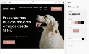 Editar el diseño de tu sitio Squarespace