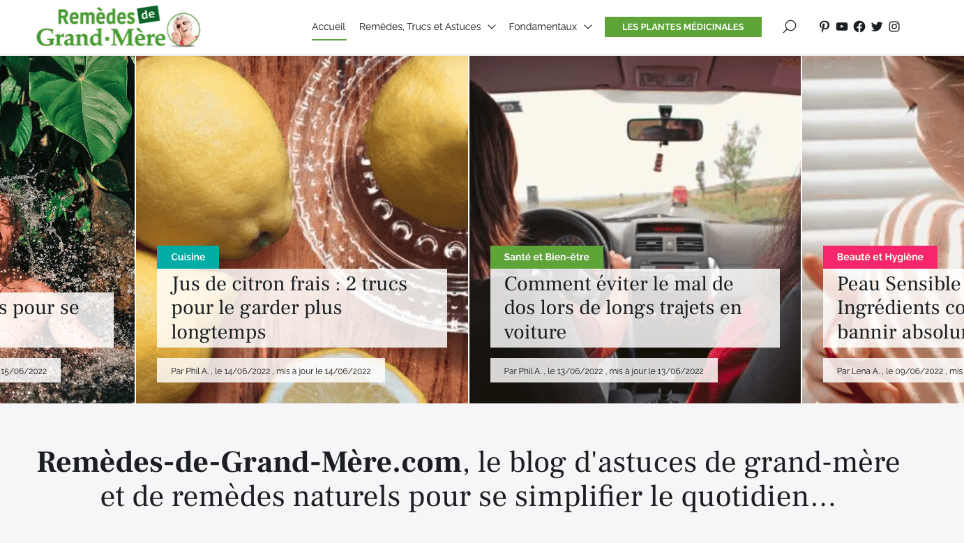 exemple de site wordpress remedes naturels