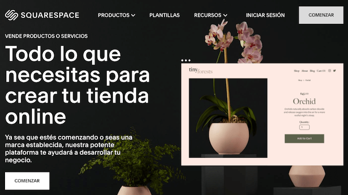 squarespace crear tienda online