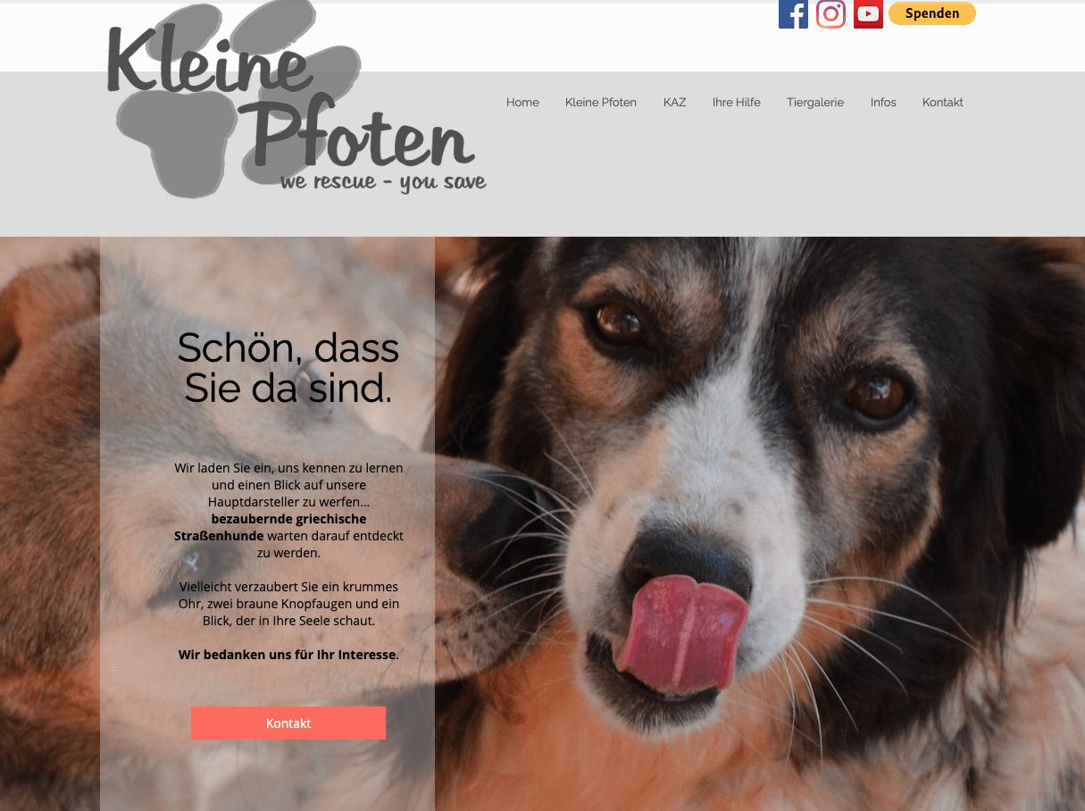 wix website beispiel kleine pfoten