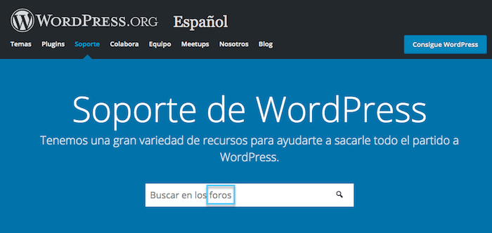 wordpress com foros